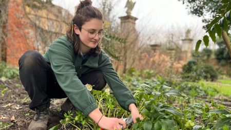 Nell: Horticulture or Landscape Operative: Level 2 image